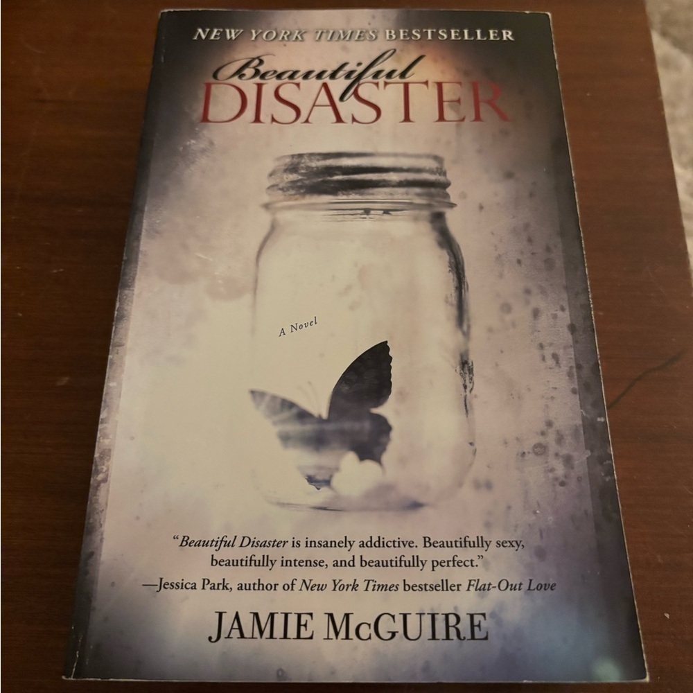 Beautiful Disaster Book​​​​​​​